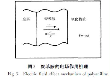圖3 聚苯胺的電場作用機理