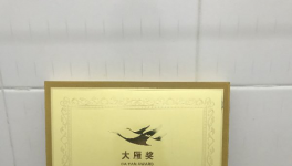 三棵樹榮獲 2018年度“大雁獎——中國家居產業大國工匠獎”