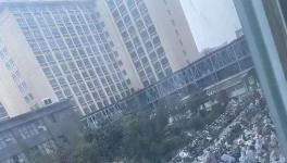 辟謠！20000人確診不實！企業集體放假！