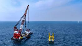 持續發力！多個海上風電項目建造進度更新！