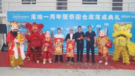 加速國際化布局，集泰股份打造“出海”新標桿