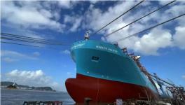 全球最大！這個特涂工程創紀錄！