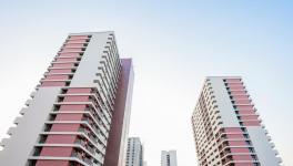 三棵樹仿石漆何以連續(xù)5年市占率第一？